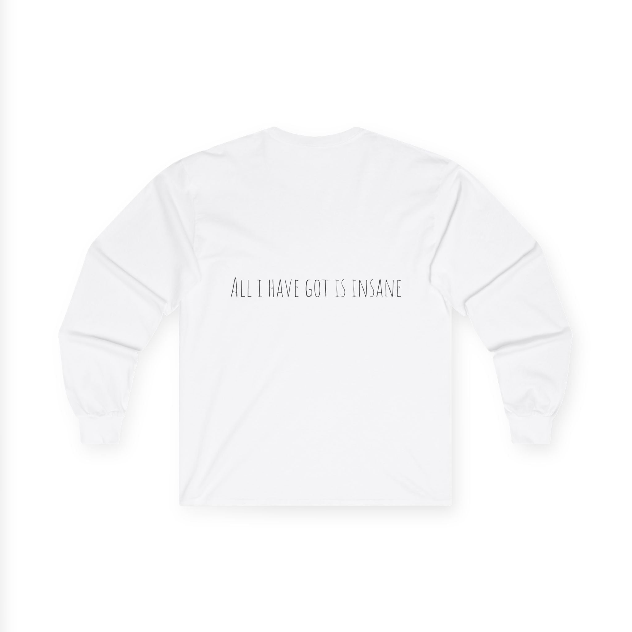 All I Have Got Is Insane Shirt